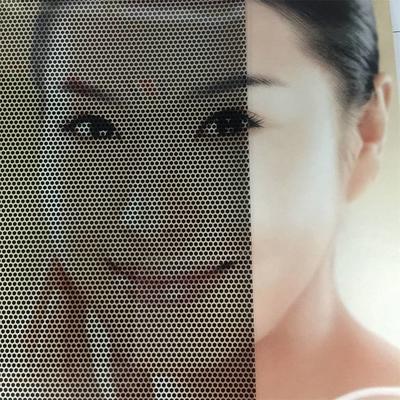 Home window glass decorative tint film to protect privacy and anti explosion self adhesive sticker for house/office